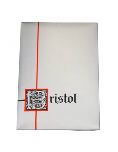 Plichi Blasetti 10 biglietti più 10 buste - 90 g 90x140 mm conf. 30 pz - 560