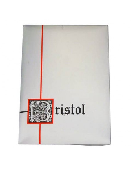 Plichi Blasetti 10 biglietti più 10 buste - 90 g 90x140 mm conf. 30 pz - 560