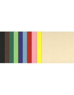 Cartoncini colorati Maxipack COLORLINE 70x100 cm 100 fogli 220 g/m² Canson 10 colori assortiti - C31074S058