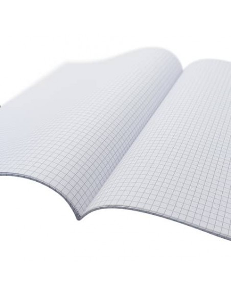 Fogli protocollo A4 Blasetti - 20 ff - 60 g/m2 - 4 mm 1293