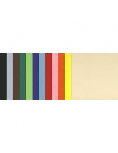 Cartoncini colorati Maxipack COLORLINE 50x70 cm 120 fogli 220 g/m² Canson 12 colori assortiti - C31074S057