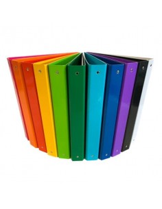 Raccoglitore Euro-cart Iris A4 dorso 4 cm - 4 anelli tondi 30 mm viola - CPCL4-30VI