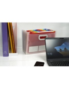 Classificatore valigetta Crystal Colours cristallo 24 scomparti 33x23