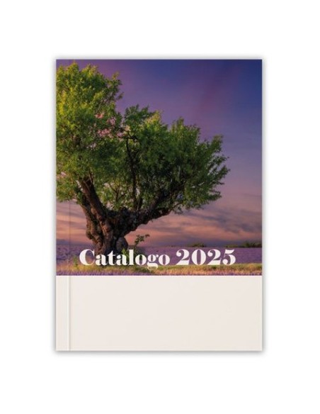 Catalogo Office 2025 - copertina Vecchia Quercia - CAL2504