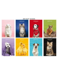 Maxi quaderno Blasetti One Color Pet A4 80 g/m² - conf. 10 pz - 0B 7902