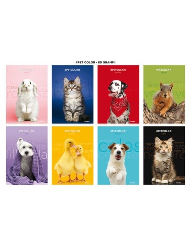 Maxi quaderno Blasetti One Color Pet A4 80 g/m² - conf. 10 pz - 0B 7902