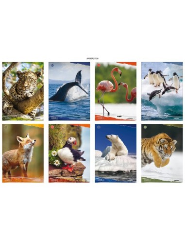 Maxi quaderno Blasetti Animali A4 18+1 ff carta 100 g/m² - conf. 10 pz - rigatura 4 mm con margine - 8206