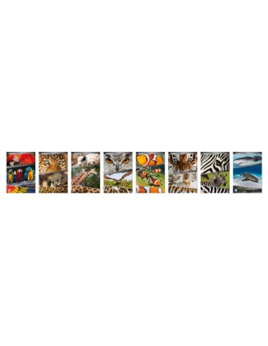 Maxi quaderno Blasetti Animali A4 18+1 ff carta 100 g/m² - conf. 10 pz - rigatura 4 mm - 5893