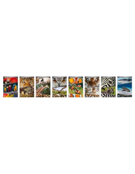 Maxi quaderno Blasetti Animali A4 18+1 ff carta 100 g/m² - conf. 10 pz - rigatura 4 mm - 5893