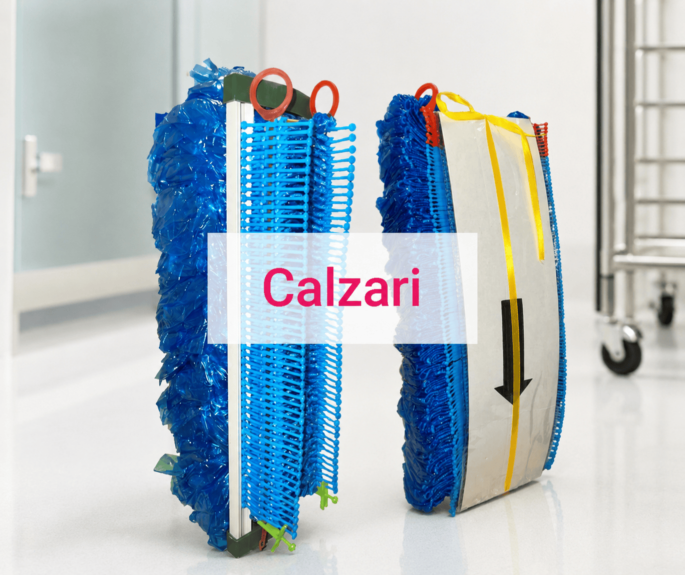 Calzari